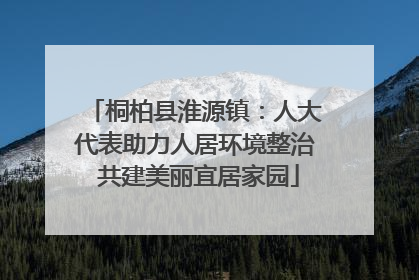 桐柏县淮源镇：人大代表助力人居环境整治 共建美丽宜居家园