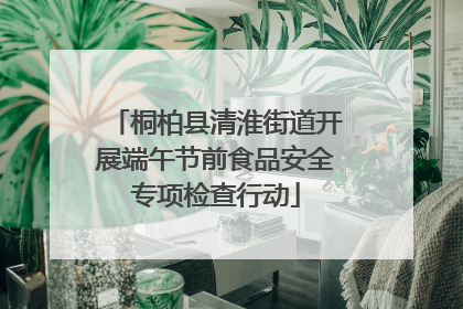 桐柏县清淮街道开展端午节前食品安全专项检查行动