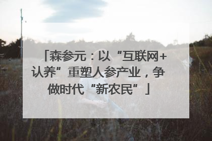 森参元：以“互联网+认养”重塑人参产业，争做时代“新农民”