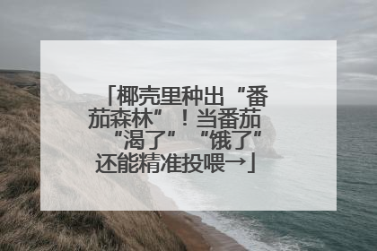 椰壳里种出“番茄森林”！当番茄“渴了”“饿了”还能精准投喂→