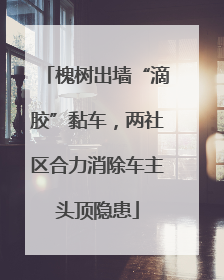 槐树出墙“滴胶”黏车，两社区合力消除车主头顶隐患