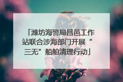 潍坊海警局昌邑工作站联合涉海部门开展“三无”船舶清理行动