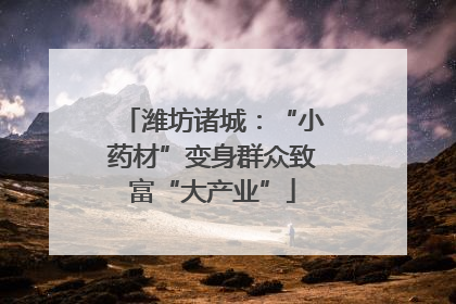 潍坊诸城：“小药材”变身群众致富“大产业”