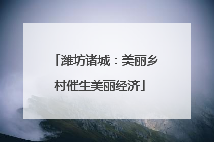 潍坊诸城：美丽乡村催生美丽经济