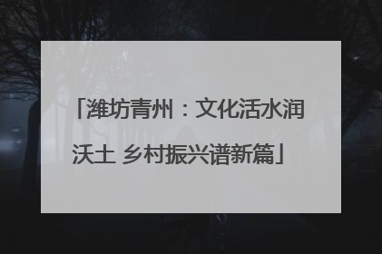 潍坊青州：文化活水润沃土 乡村振兴谱新篇