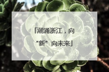 潮涌浙江，向“新”向未来