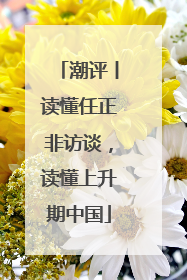 潮评丨读懂任正非访谈，读懂上升期中国