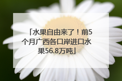 水果自由来了！前5个月广西各口岸进口水果56.8万吨