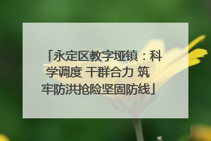 永定区教字垭镇：科学调度 干群合力 筑牢防洪抢险坚固防线
