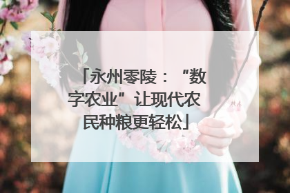 永州零陵：“数字农业”让现代农民种粮更轻松