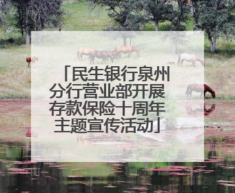 民生银行泉州分行营业部开展存款保险十周年主题宣传活动