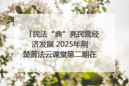民法“典”亮民营经济发展 2025年荆楚普法云课堂第二期在武汉客厅开讲