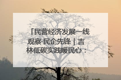 民营经济发展一线观察·民企先锋｜吉林低碳实践暖民心：太阳能供暖技术为北方清洁取暖破局