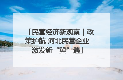 民营经济新观察｜政策护航 河北民营企业激发新“冀”遇