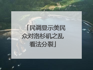 民调显示美民众对洛杉矶之乱看法分裂