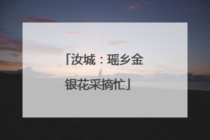 汝城：瑶乡金银花采摘忙
