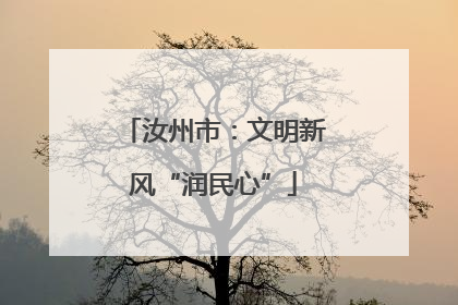 汝州市：文明新风“润民心”