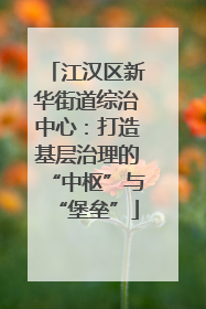 江汉区新华街道综治中心：打造基层治理的“中枢”与“堡垒”