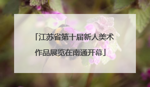 江苏省第十届新人美术作品展览在南通开幕