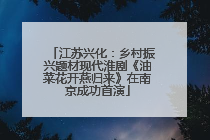 江苏兴化：乡村振兴题材现代淮剧《油菜花开燕归来》在南京成功首演
