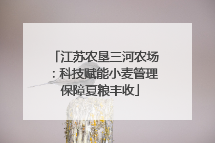 江苏农垦三河农场：科技赋能小麦管理保障夏粮丰收