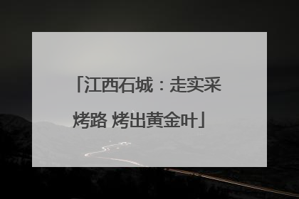 江西石城：走实采烤路 烤出黄金叶