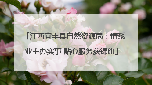江西宜丰县自然资源局：情系业主办实事 贴心服务获锦旗