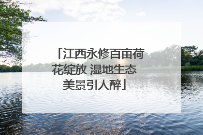 江西永修百亩荷花绽放 湿地生态美景引人醉