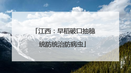 江西：早稻破口抽穗 统防统治防病虫