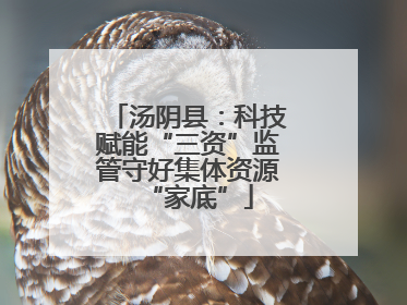 汤阴县：科技赋能“三资”监管守好集体资源“家底”