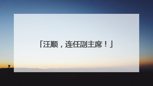 汪顺，连任副主席！