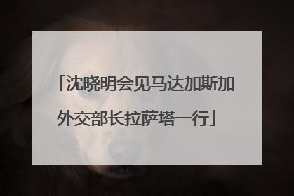 沈晓明会见马达加斯加外交部长拉萨塔一行