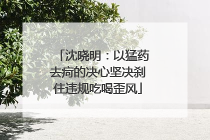沈晓明：以猛药去疴的决心坚决刹住违规吃喝歪风