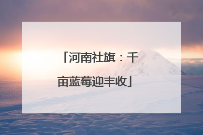 河南社旗：千亩蓝莓迎丰收