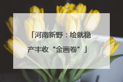 河南新野：绘就稳产丰收“金画卷”