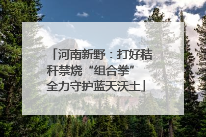 河南新野：打好秸秆禁烧“组合拳” 全力守护蓝天沃土