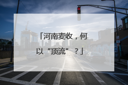 河南麦收，何以“顶流”？