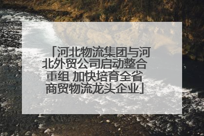 河北物流集团与河北外贸公司启动整合重组 加快培育全省商贸物流龙头企业