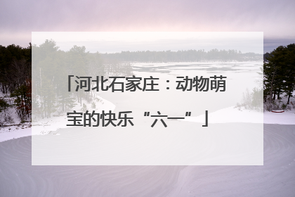 河北石家庄：动物萌宝的快乐“六一”
