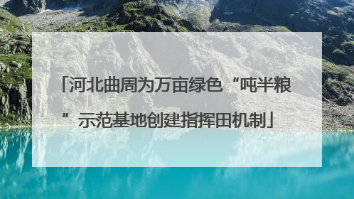 河北曲周为万亩绿色“吨半粮”示范基地创建指挥田机制