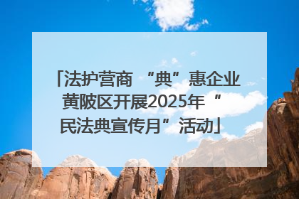 法护营商 “典”惠企业 黄陂区开展2025年“民法典宣传月”活动