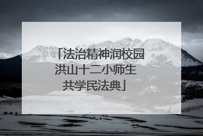 法治精神润校园 洪山十二小师生共学民法典