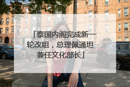 泰国内阁完成新一轮改组，总理佩通坦兼任文化部长