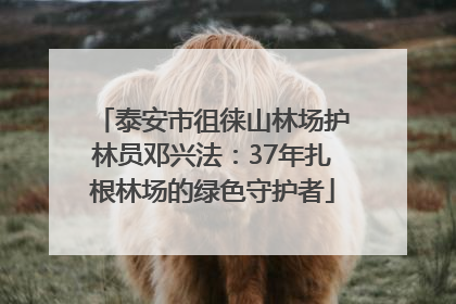 泰安市徂徕山林场护林员邓兴法：37年扎根林场的绿色守护者