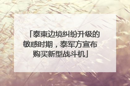 泰柬边境纠纷升级的敏感时期，泰军方宣布购买新型战斗机