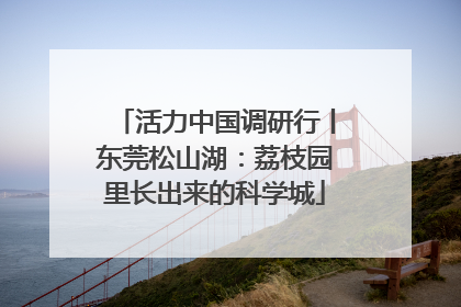 活力中国调研行丨东莞松山湖：荔枝园里长出来的科学城