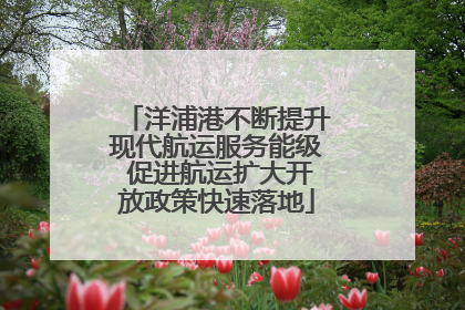 洋浦港不断提升现代航运服务能级 促进航运扩大开放政策快速落地