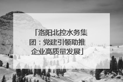 洛阳北控水务集团：党建引领助推企业高质量发展
