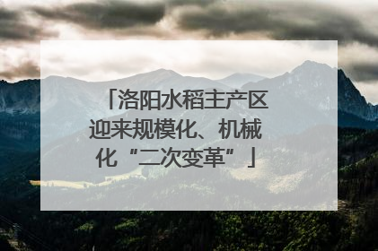 洛阳水稻主产区迎来规模化、机械化“二次变革”