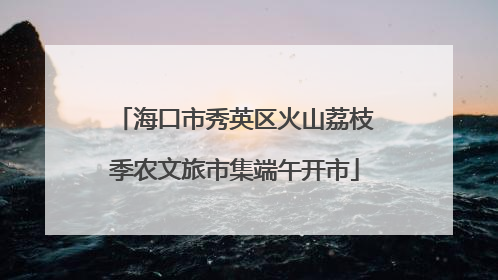 海口市秀英区火山荔枝季农文旅市集端午开市